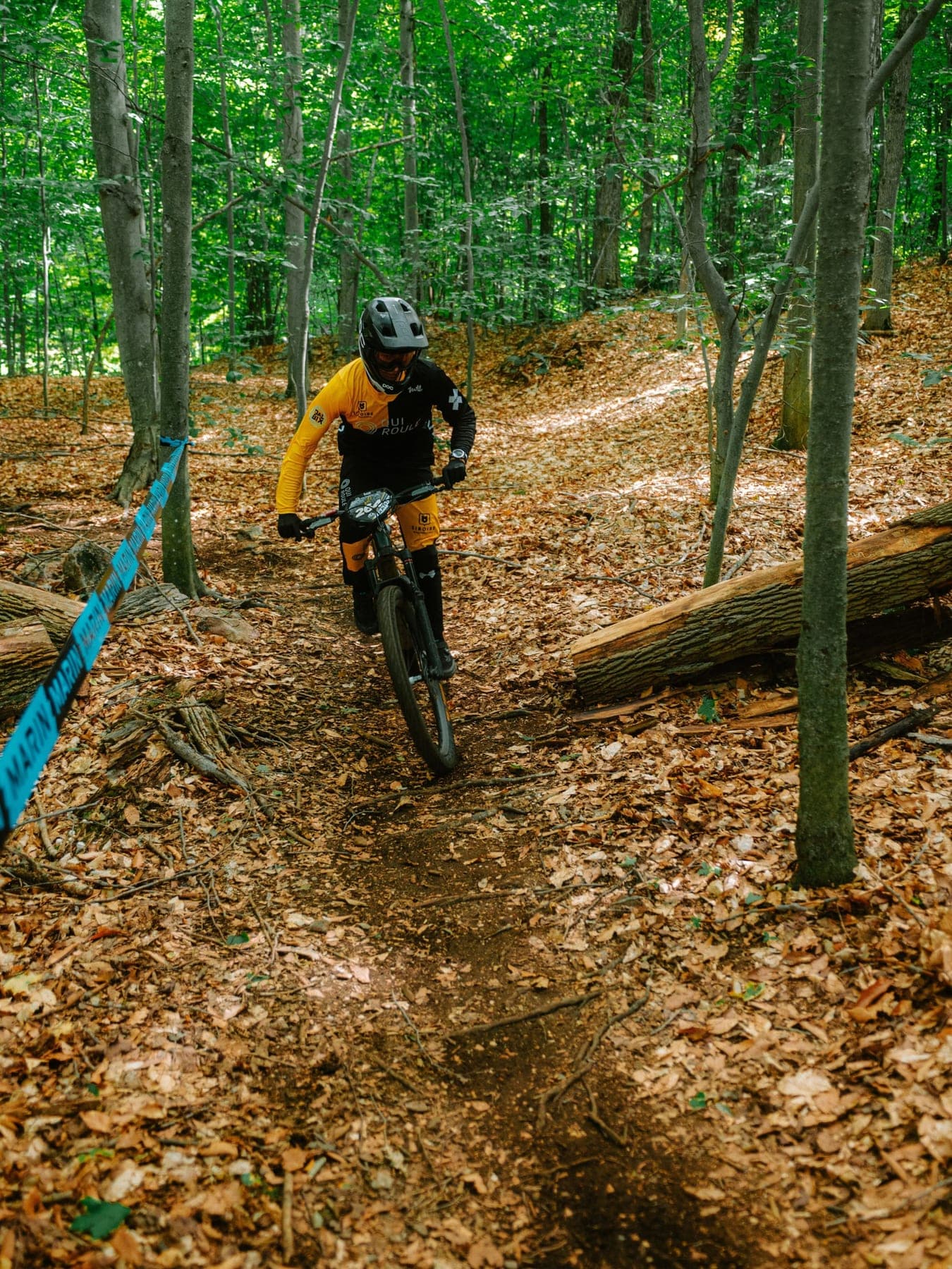 Zac dans une descente de feuilles