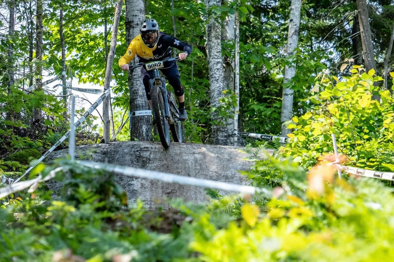 Zac sur une dalle de roc en forêt