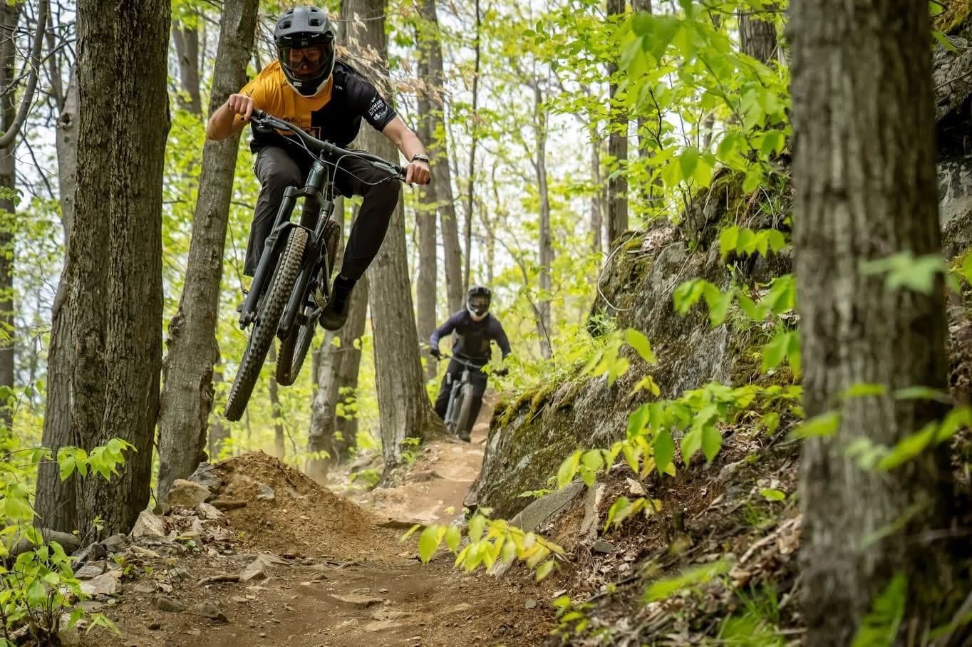 Zac en plein saut en forêt